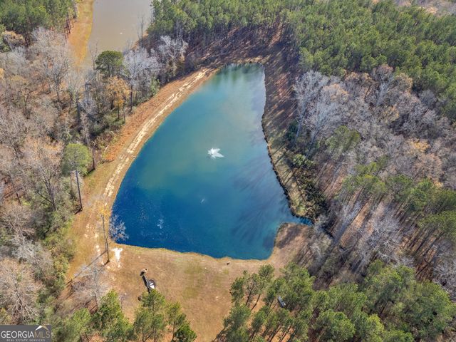 307 Weldon Lake Road, Milner, GA 30257