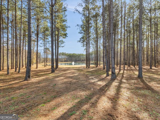 307 Weldon Lake Road, Milner, GA 30257