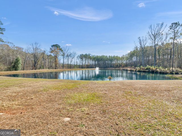 307 Weldon Lake Road, Milner, GA 30257