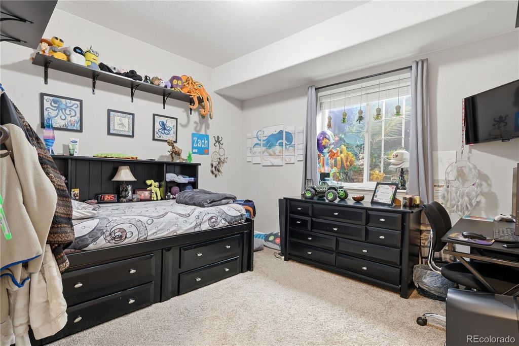 Image 38 of property listing at 1183 Brocade Drive, Highlands Ranch, CO 80126