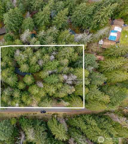 56514 383rd Avenue Ct E, Ashford, WA 98304