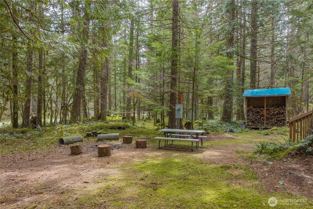 56514 383rd Avenue Ct E, Ashford, WA 98304