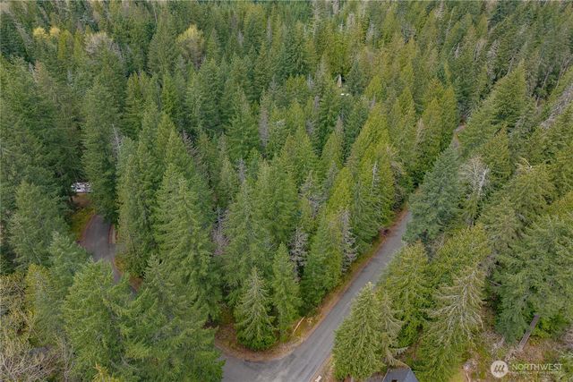 56514 383rd Avenue Ct E, Ashford, WA 98304
