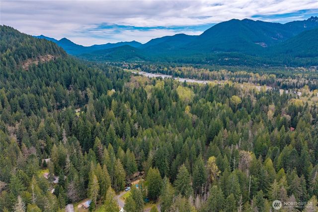 56514 383rd Avenue Ct E, Ashford, WA 98304