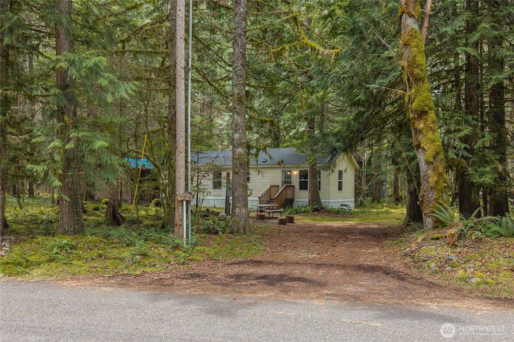 56514 383rd Avenue Ct E, Ashford, WA 98304