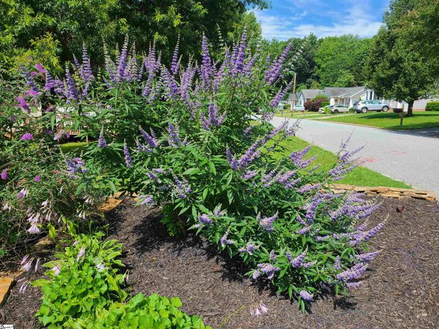 306 Fairdale Drive, Simpsonville, SC 29681