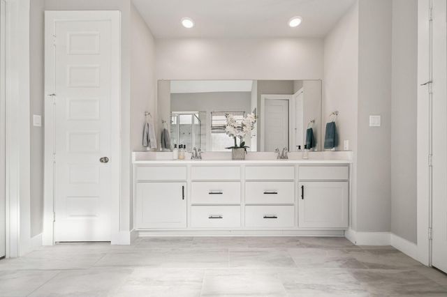 215 Nirnroot Court, Montgomery, TX 77316