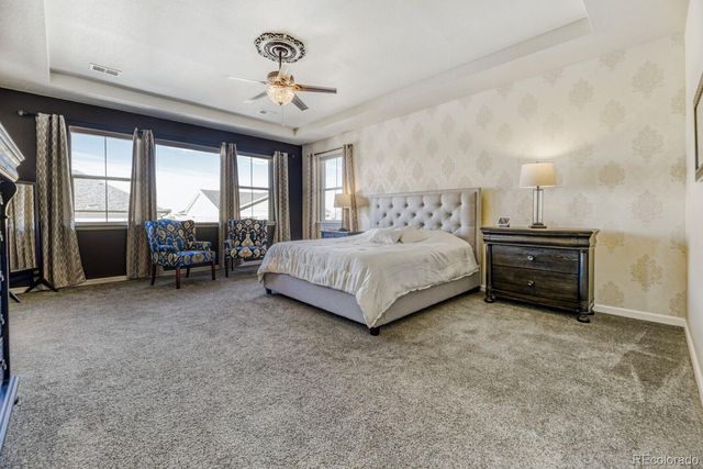 14929 Elsinore Avenue, Parker, CO 80134