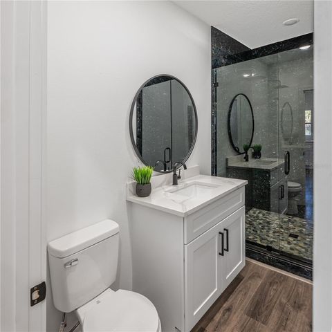 215 N SALEM STREET, Eustis, FL 32726