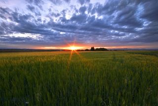 TBD Penwell Bridge Road, Belgrade, MT 59714