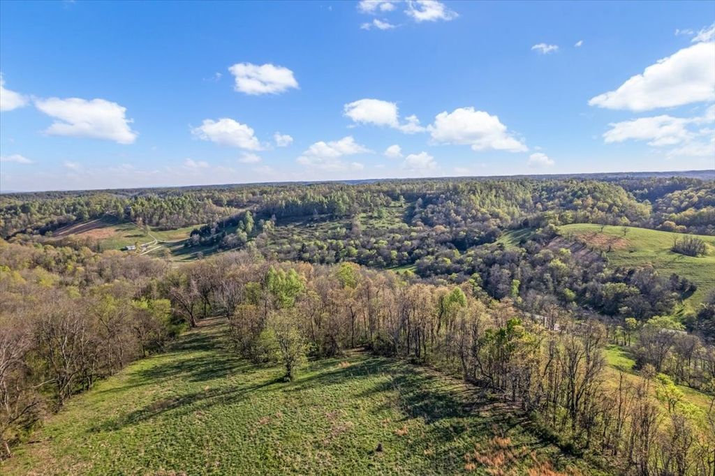 1624 Bartlett Hollow Rd, Petersburg, TN 37144