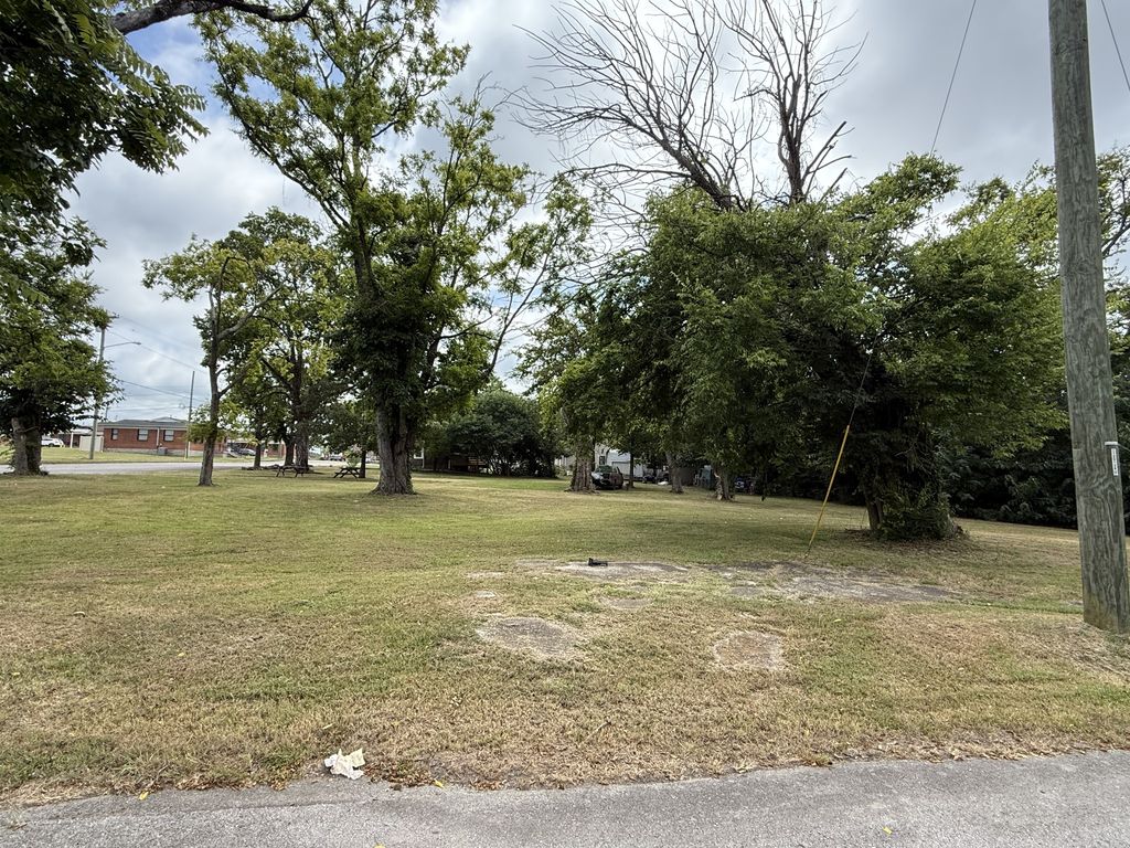 213 Owen St, Lebanon, TN 37087