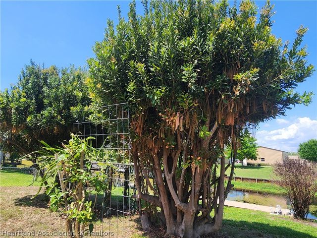 124 Bougainvillea Street NE, Lake Placid, FL 33852