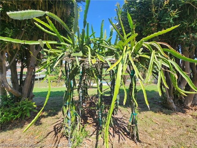 124 Bougainvillea Street NE, Lake Placid, FL 33852