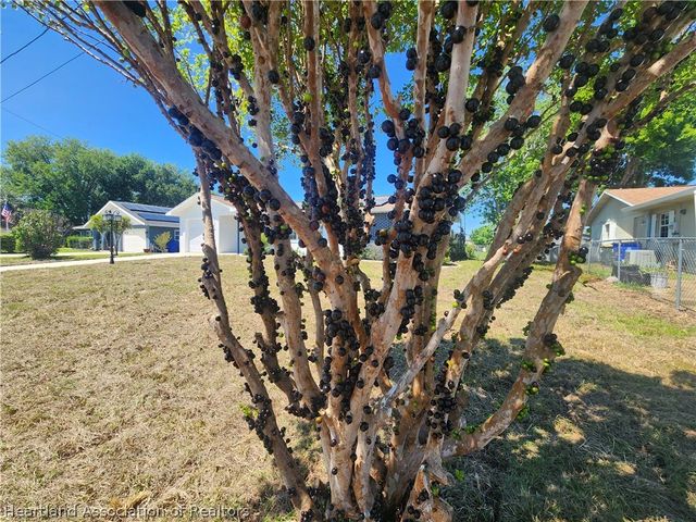 124 Bougainvillea Street NE, Lake Placid, FL 33852