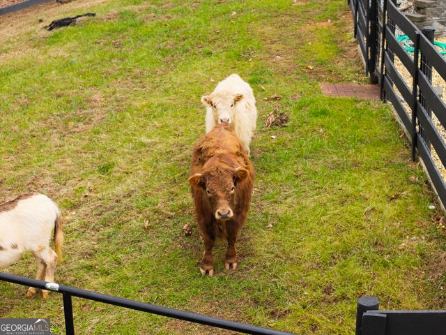 6008 Serene Circle, Gainesville, GA 30506