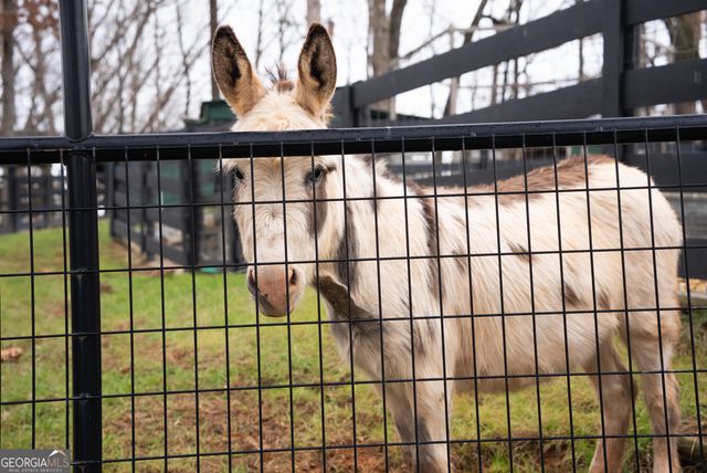 6008 Serene Circle, Gainesville, GA 30506