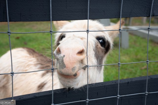 6008 Serene Circle, Gainesville, GA 30506