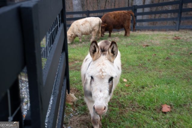6008 Serene Circle, Gainesville, GA 30506