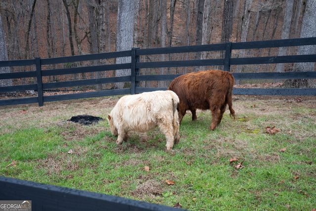 6008 Serene Circle, Gainesville, GA 30506