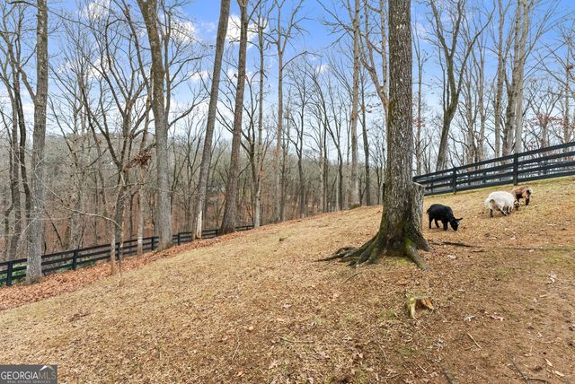 6008 Serene Circle, Gainesville, GA 30506