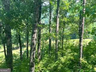 J35 Bent Grass, Clayton, GA 30525
