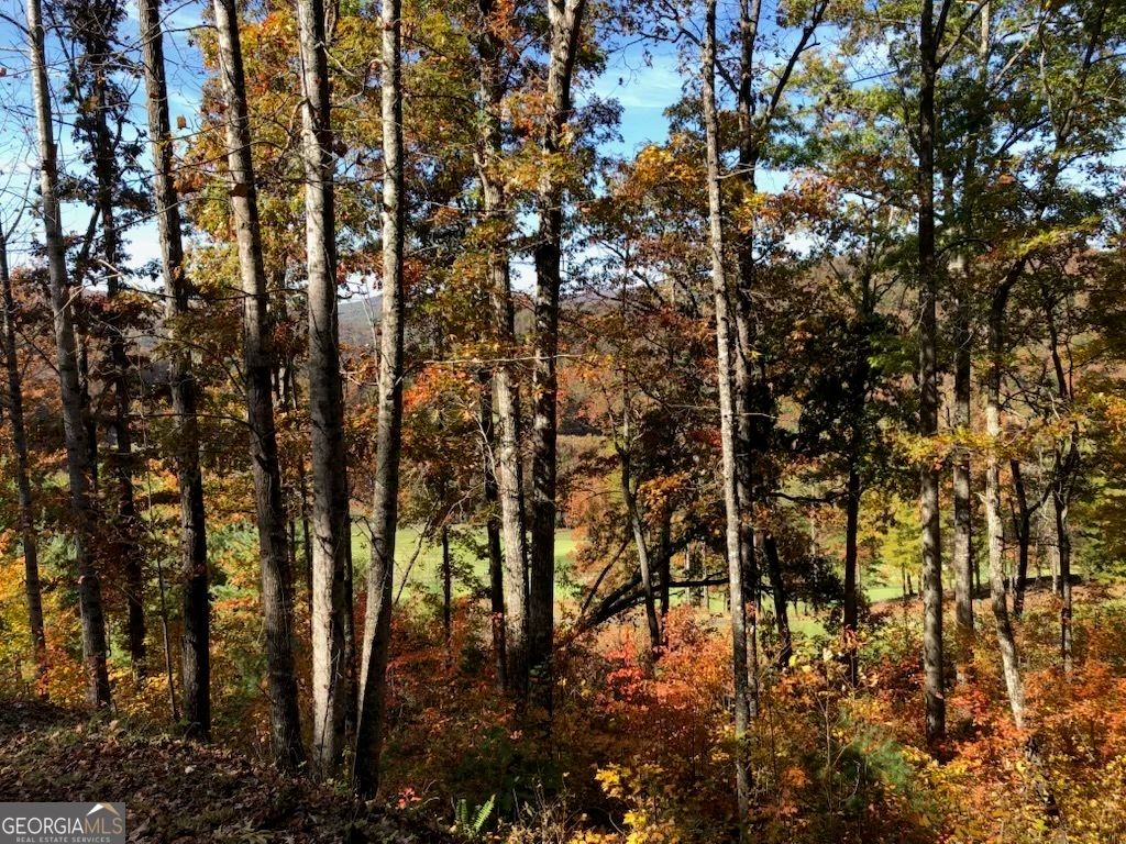 J35 Bent Grass, Clayton, GA 30525 — photo 5