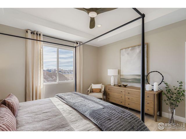 590 Noola St, Windsor, CO 80550