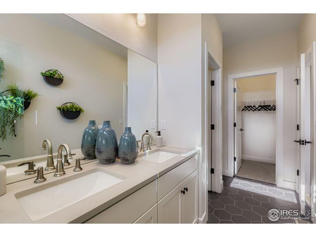 590 Noola St, Windsor, CO 80550