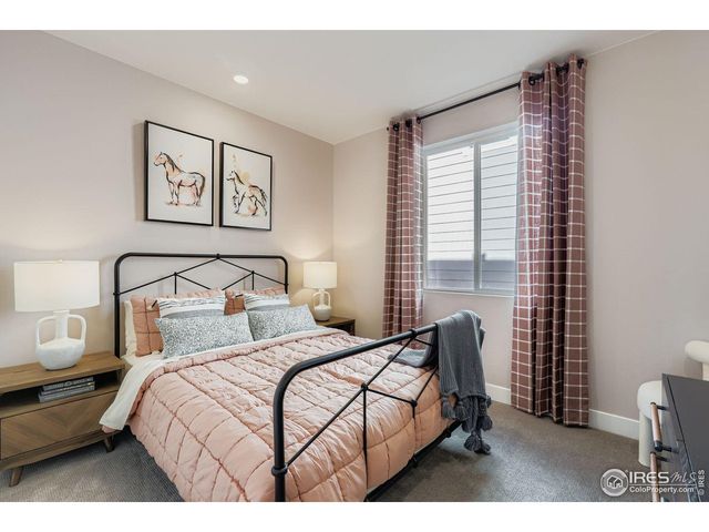 590 Noola St, Windsor, CO 80550