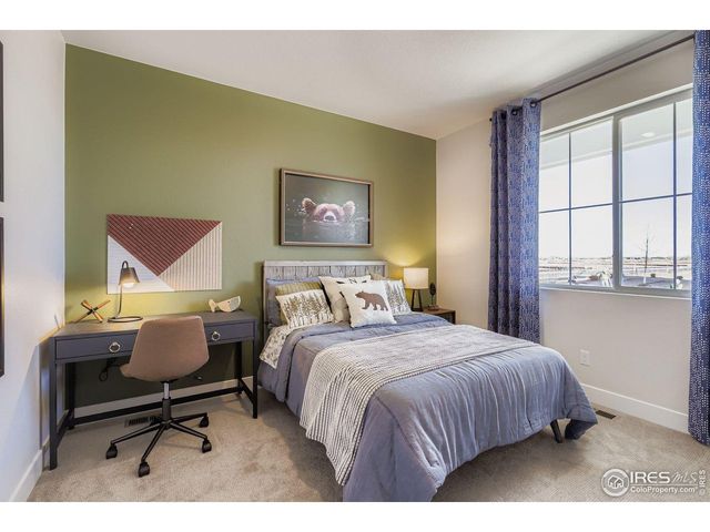 590 Noola St, Windsor, CO 80550