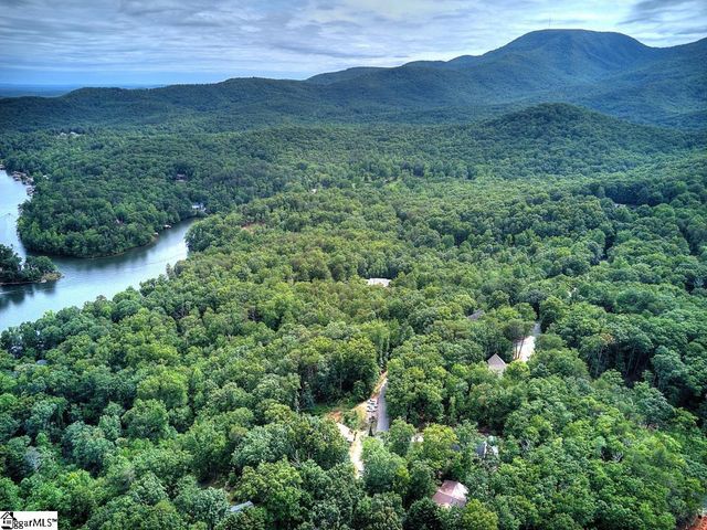 189 Caledonia Road, Landrum, SC 29356