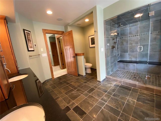 1145 S Williams St, Denver, CO 80210