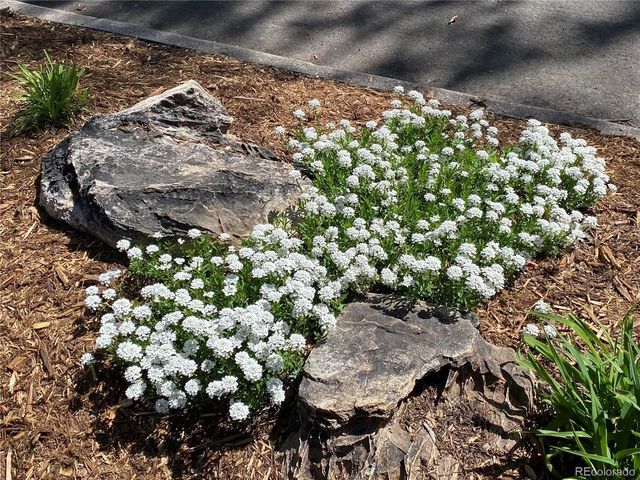 1145 S Williams St, Denver, CO 80210