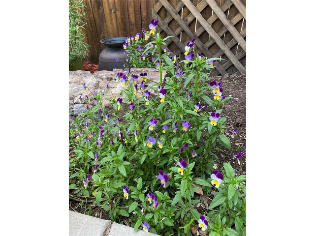 1145 S Williams St, Denver, CO 80210