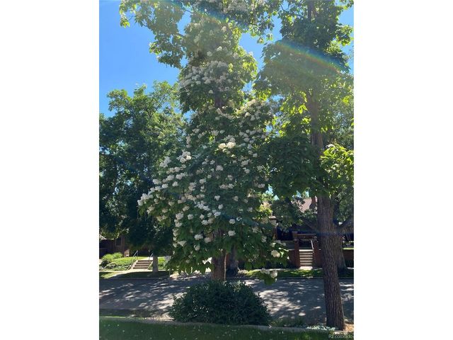 1145 S Williams St, Denver, CO 80210