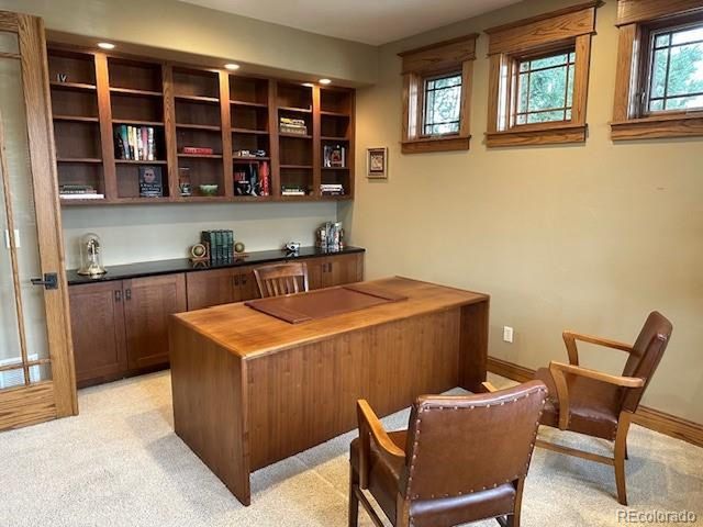 1145 S Williams St, Denver, CO 80210