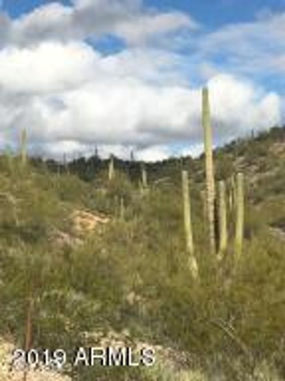 5.442 AC Jack Burden Road 11, Wickenburg, AZ 85390 — photo 4