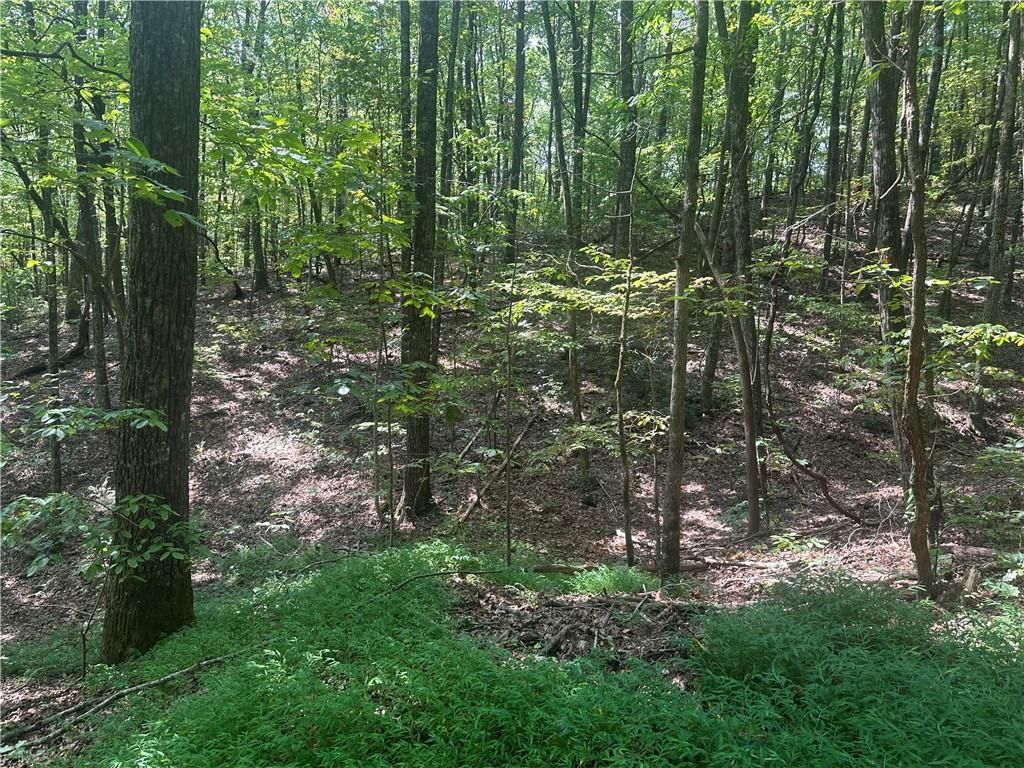 101 Deer Trail, Jasper, GA 30143