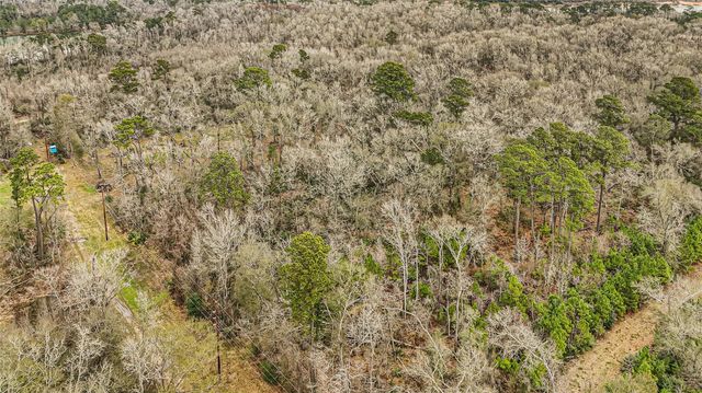 12202 Indian Oaks Ln, Houston, TX 77044