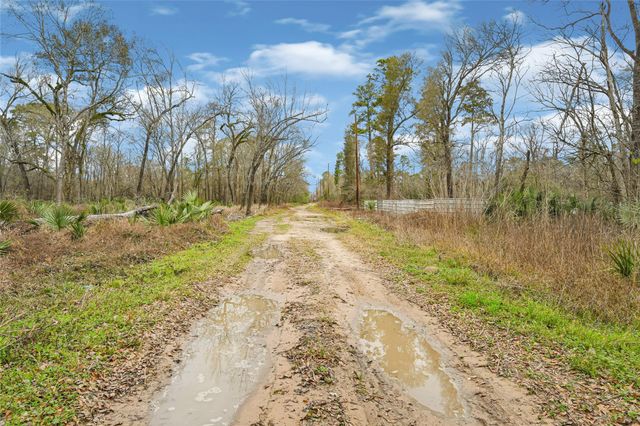 12202 Indian Oaks Ln, Houston, TX 77044