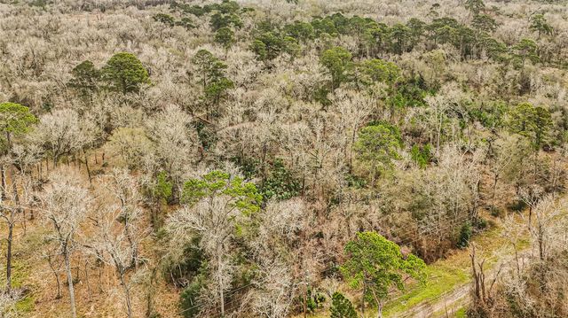 12202 Indian Oaks Ln, Houston, TX 77044