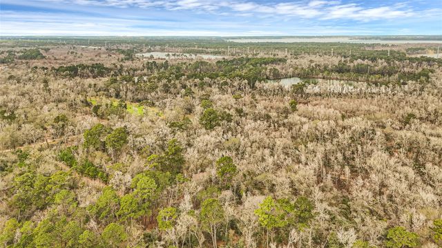 12202 Indian Oaks Ln, Houston, TX 77044