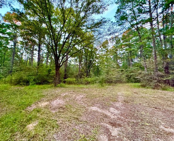 4955 FM 1374, Huntsville, TX 77340
