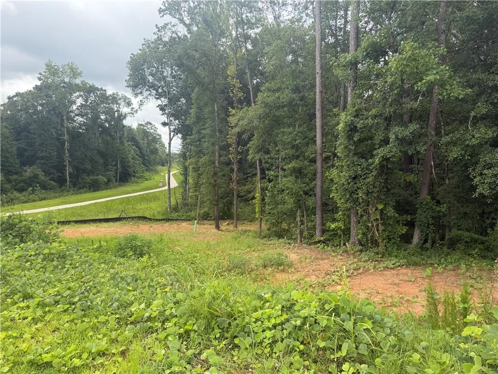 1680 Kilcrease Road, Bethlehem, GA 30620