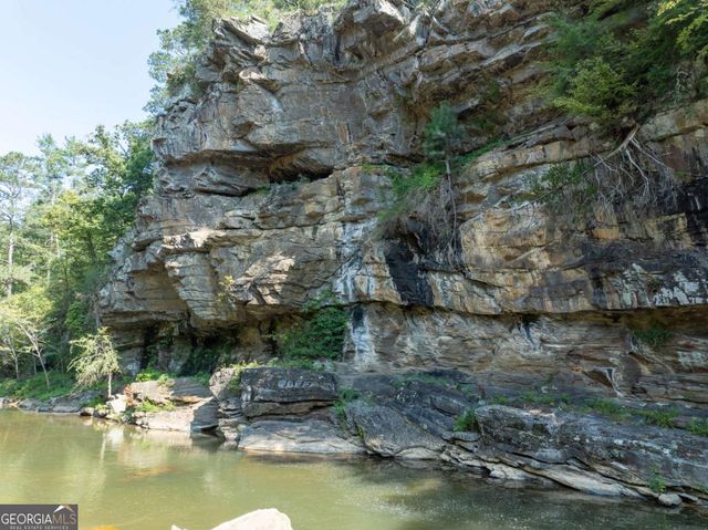 331 Paladin Drive NE, Ranger, GA 30734