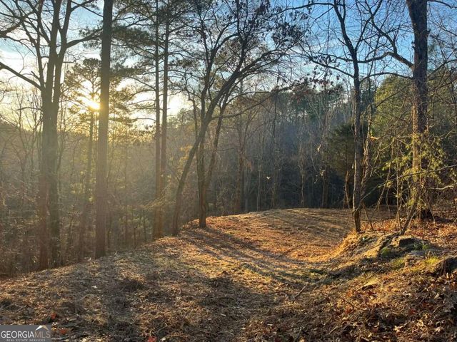 331 Paladin Drive NE, Ranger, GA 30734