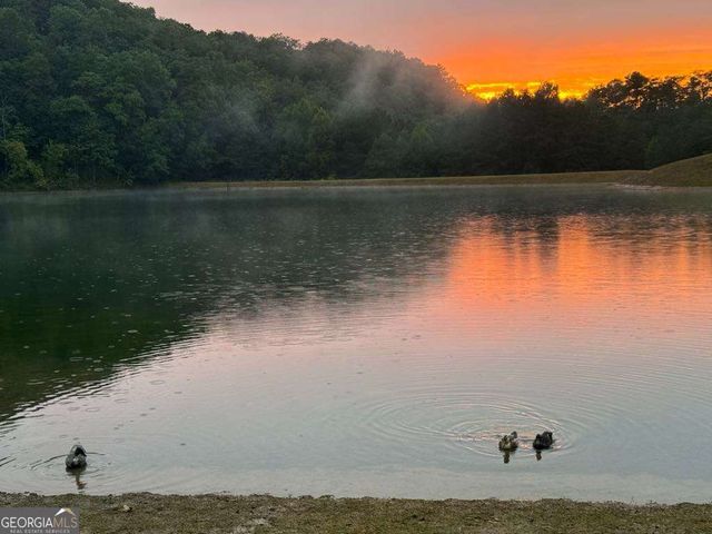 331 Paladin Drive NE, Ranger, GA 30734