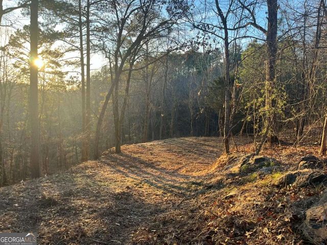 331 Paladin Drive NE, Ranger, GA 30734