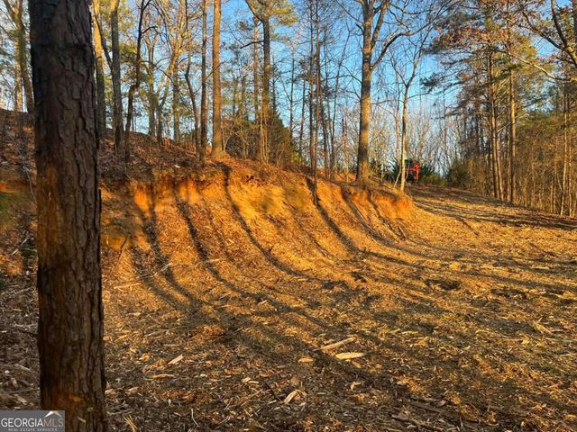 331 Paladin Drive NE, Ranger, GA 30734